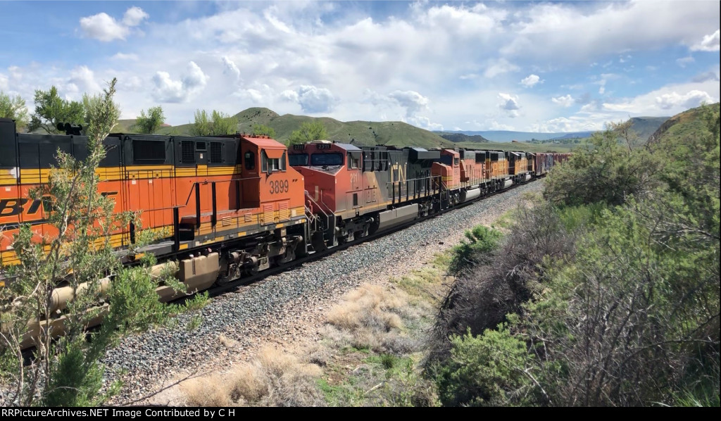 BNSF 3899/CN 2311